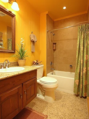 1970s Bathroom Design